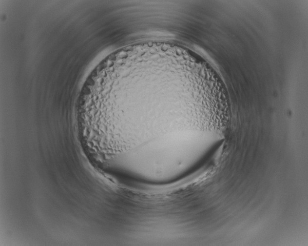 X0000072941243200608181333