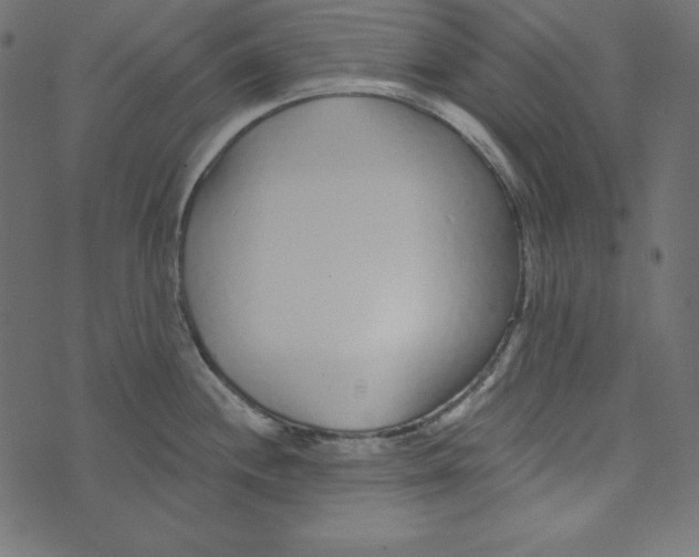 X0000072941244200608181333