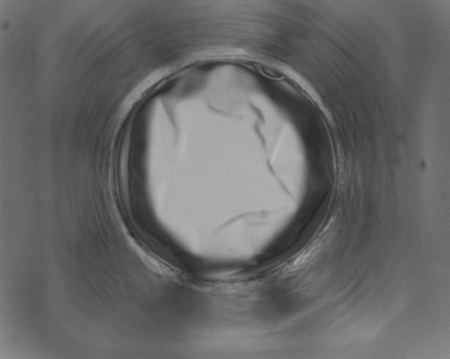 X0000072941245200608181333