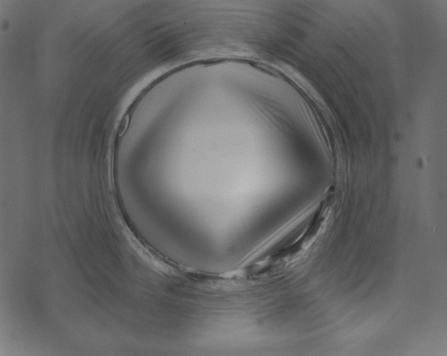 X0000072941246200608181333