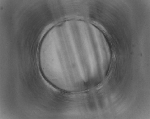 X0000072941247200608181333