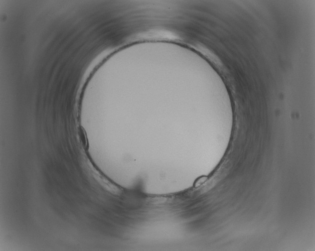 X0000072941248200608181333