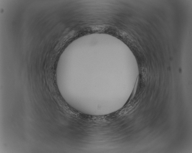 X0000072941249200608181332