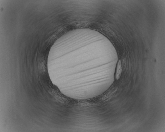 X0000072941250200608181332