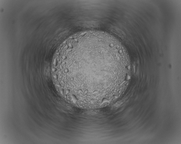 X0000072941251200608181332