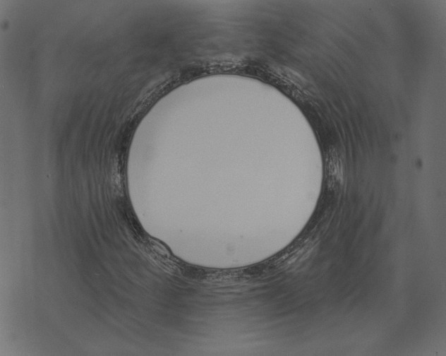 X0000072941252200608181332