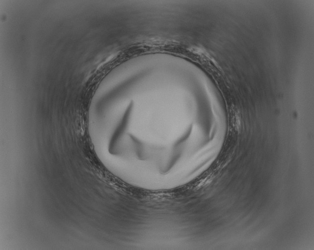 X0000072941253200608181332