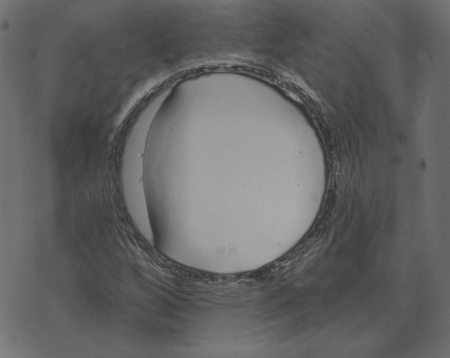 X0000072941256200608181332