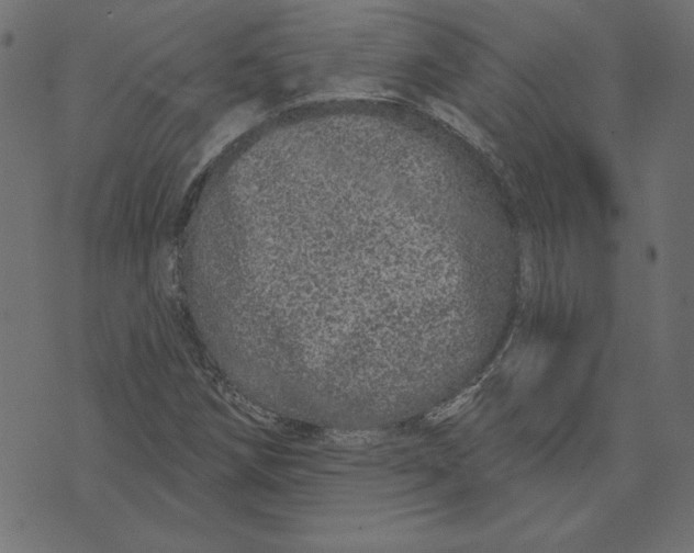 X0000072941258200608181332