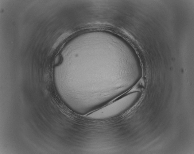 X0000072941259200608181332