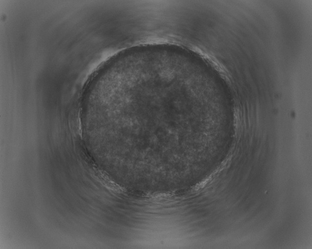 X0000072941262200608181332