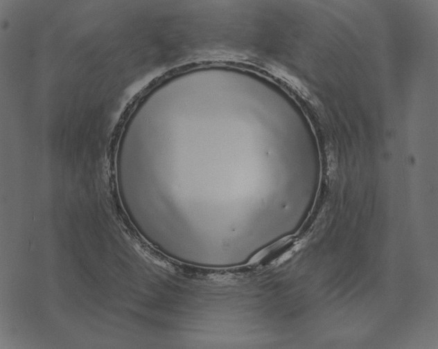 X0000072941264200608181332