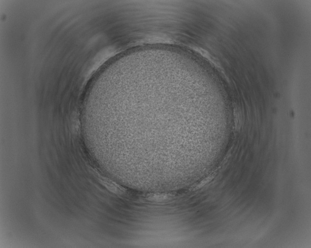 X0000072941266200608181332