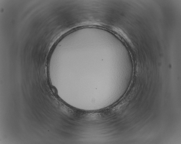 X0000072941268200608181332