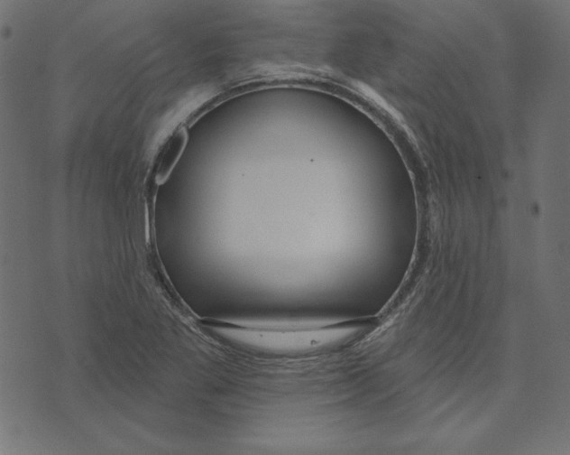 X0000072941269200608181332