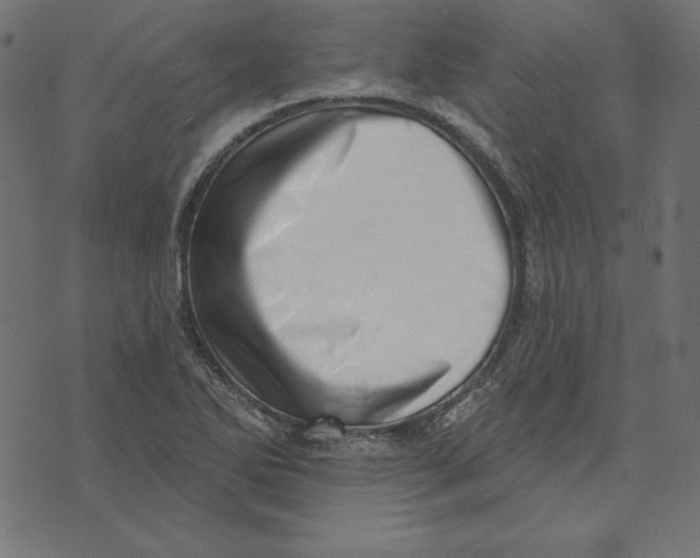 X0000072941270200608181332