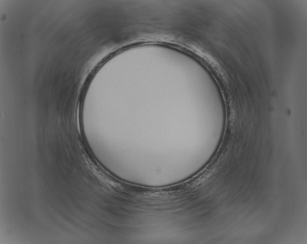 X0000072941272200608181332