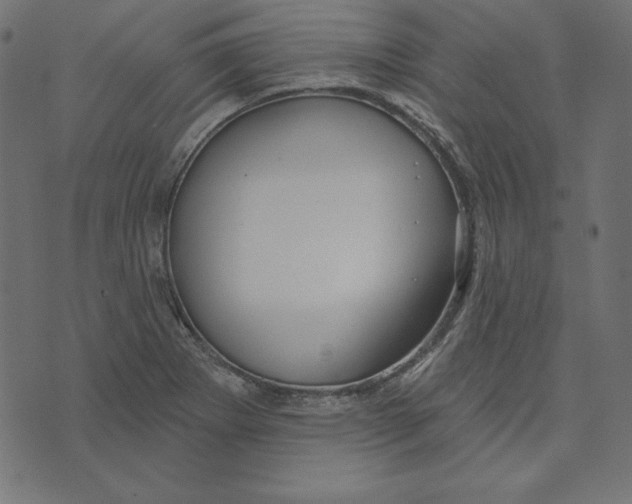 X0000072941273200608181332