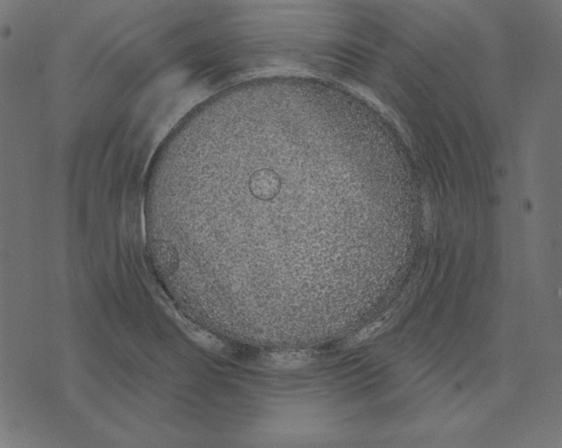 X0000072941274200608181332