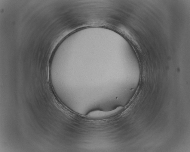 X0000072941276200608181332