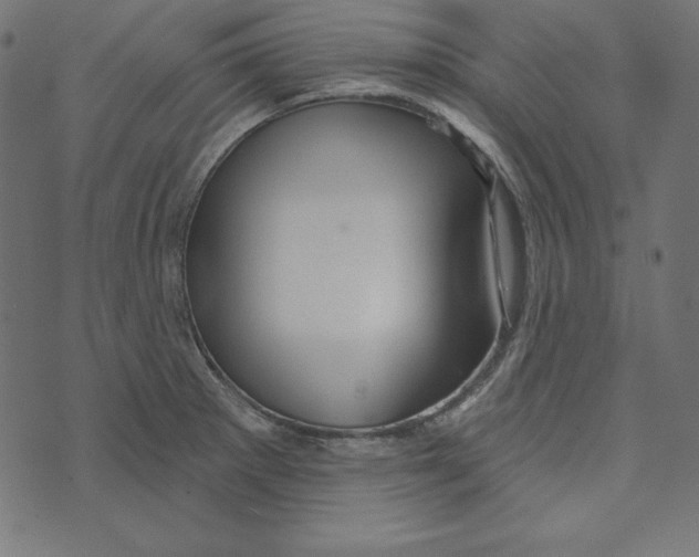 X0000072941281200608181332