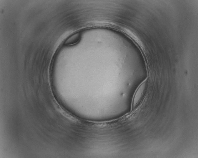 X0000072941283200608181332