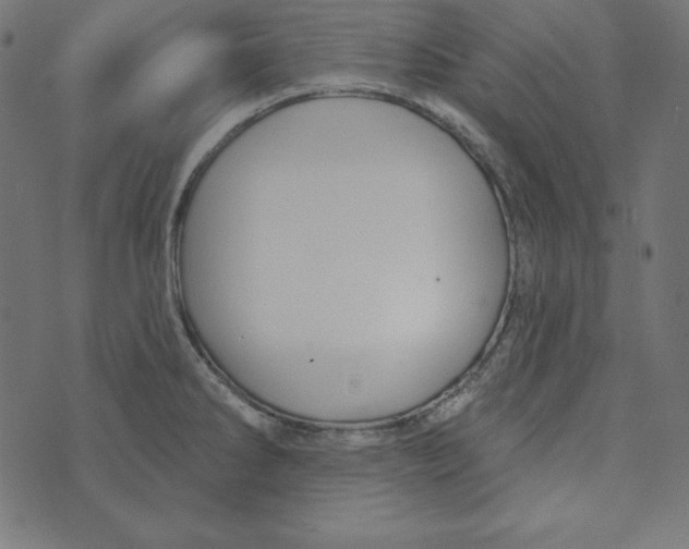 X0000072941286200608181332