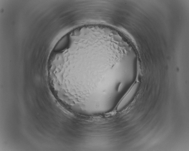 X0000072941287200608181332