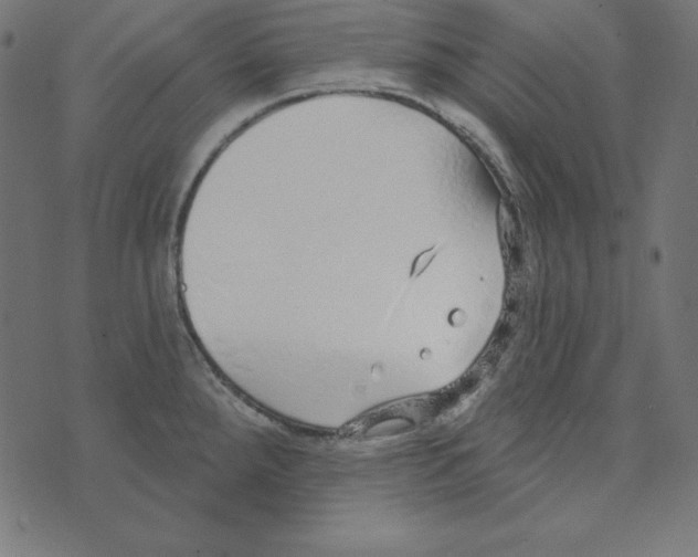 X0000072941288200608181332