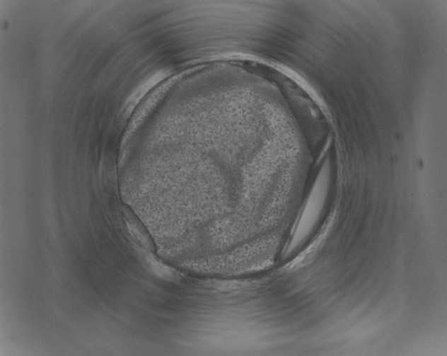 X0000072941289200608181332