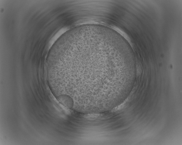 X0000072941290200608181332