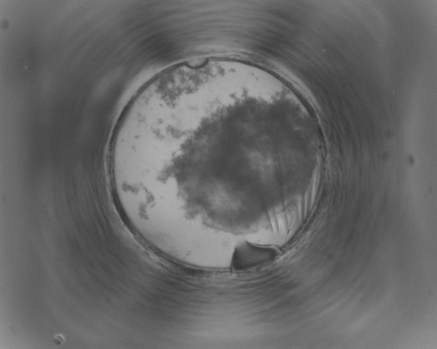 X0000072941291200608181332