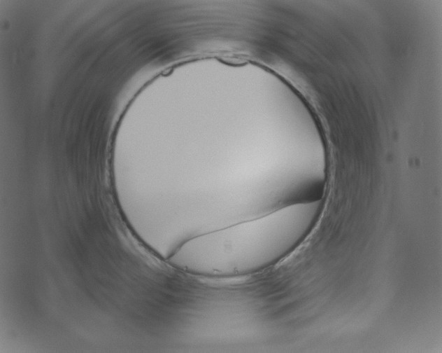 X0000072941296200608181331