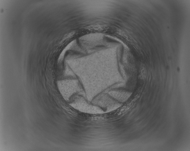 X0000072941297200608181331