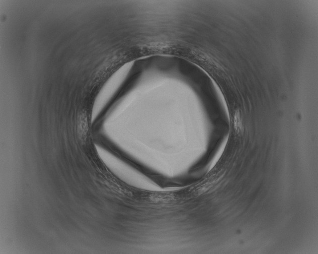 X0000072941299200608181331