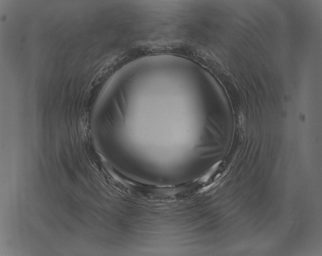 X0000072941300200608181331