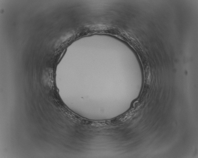 X0000072941301200608181331