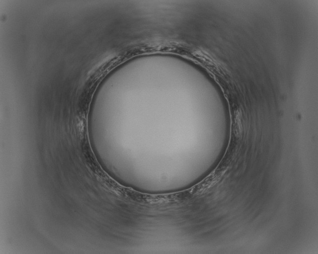 X0000072941302200608181331