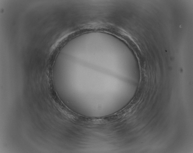 X0000072941304200608181331