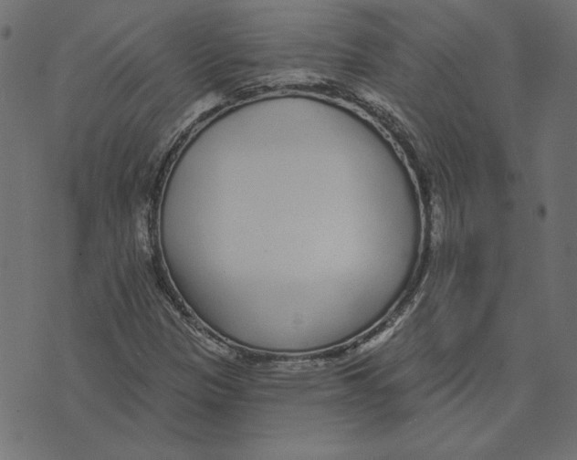 X0000072941305200608181331