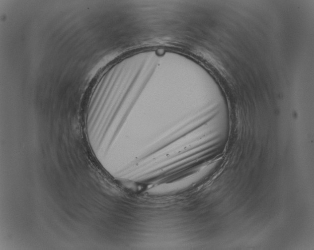 X0000072941308200608181331