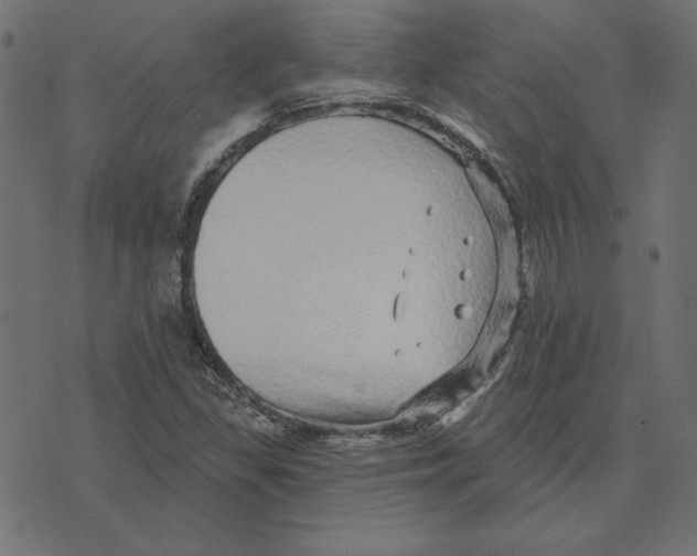 X0000072941309200608181331