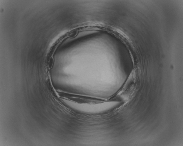 X0000072941310200608181331