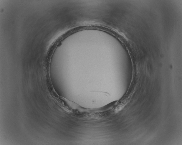 X0000072941311200608181331