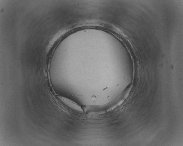 X0000072941312200608181331