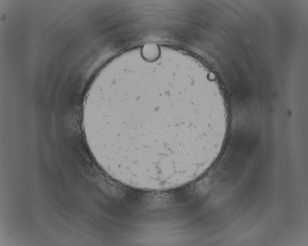 X0000072941314200608181331