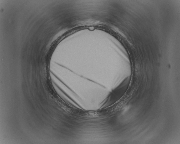 X0000072941315200608181331