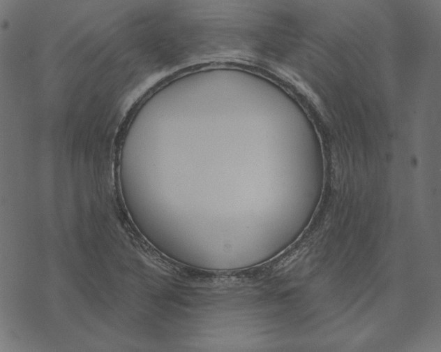 X0000072941316200608181331