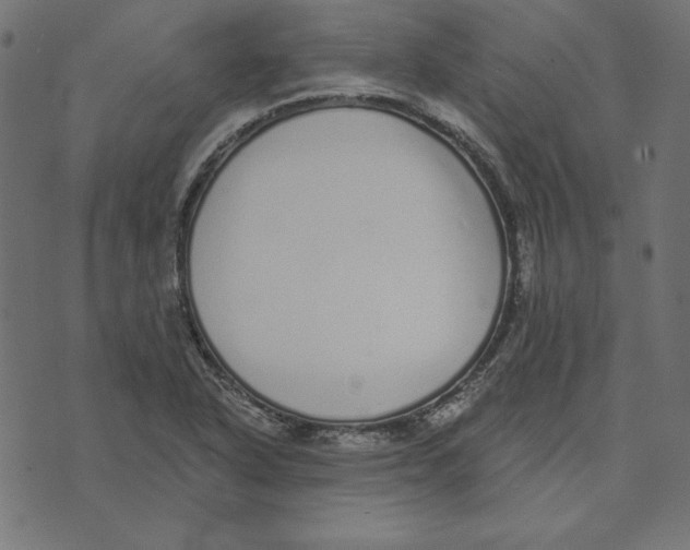 X0000072941318200608181331