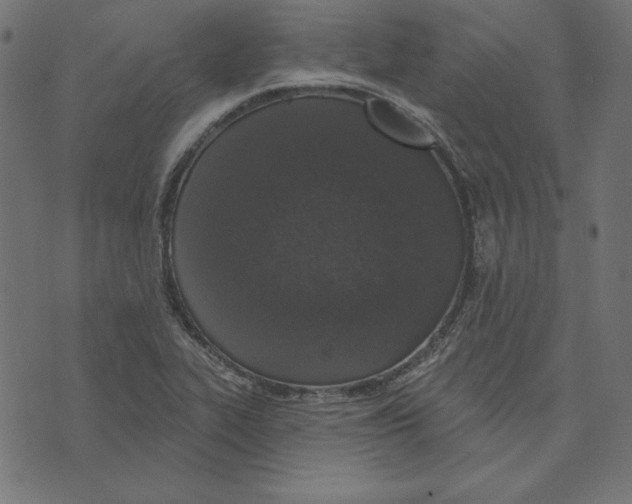 X0000072941319200608181331